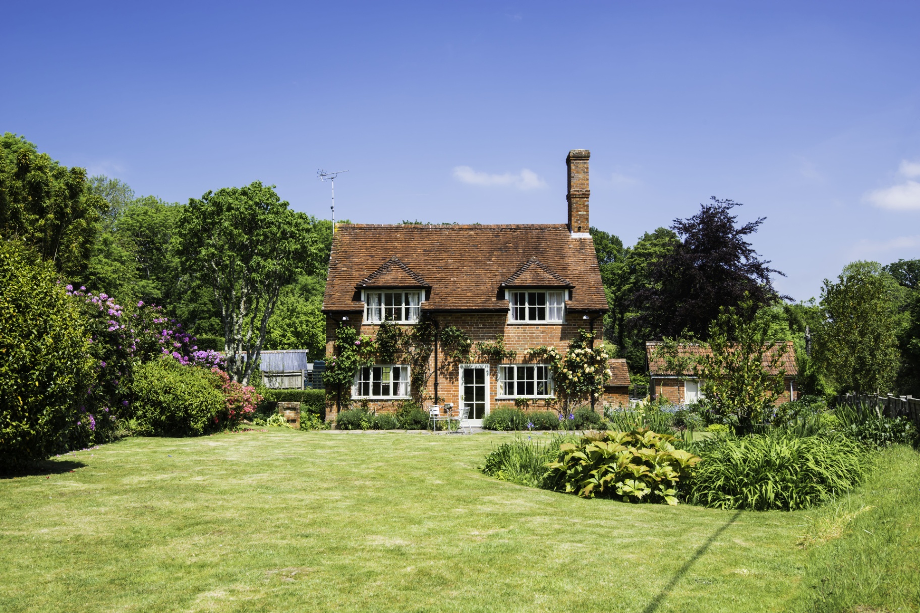British Tree Services